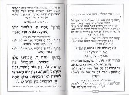זמירות שבת - רימונים בשני נוסחים