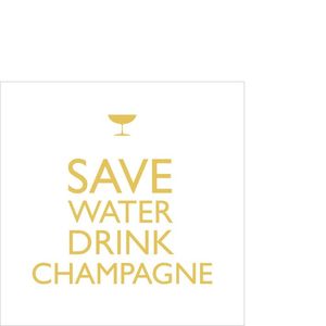 חבילת מפיות קטנות מסיבה DRINK CHAMPAGNE