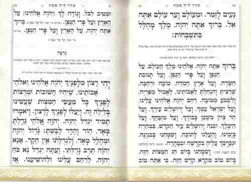 הגדה של פסח- פורמט בנוני מקסים עיצוב נקי ומודרני מוכסף
