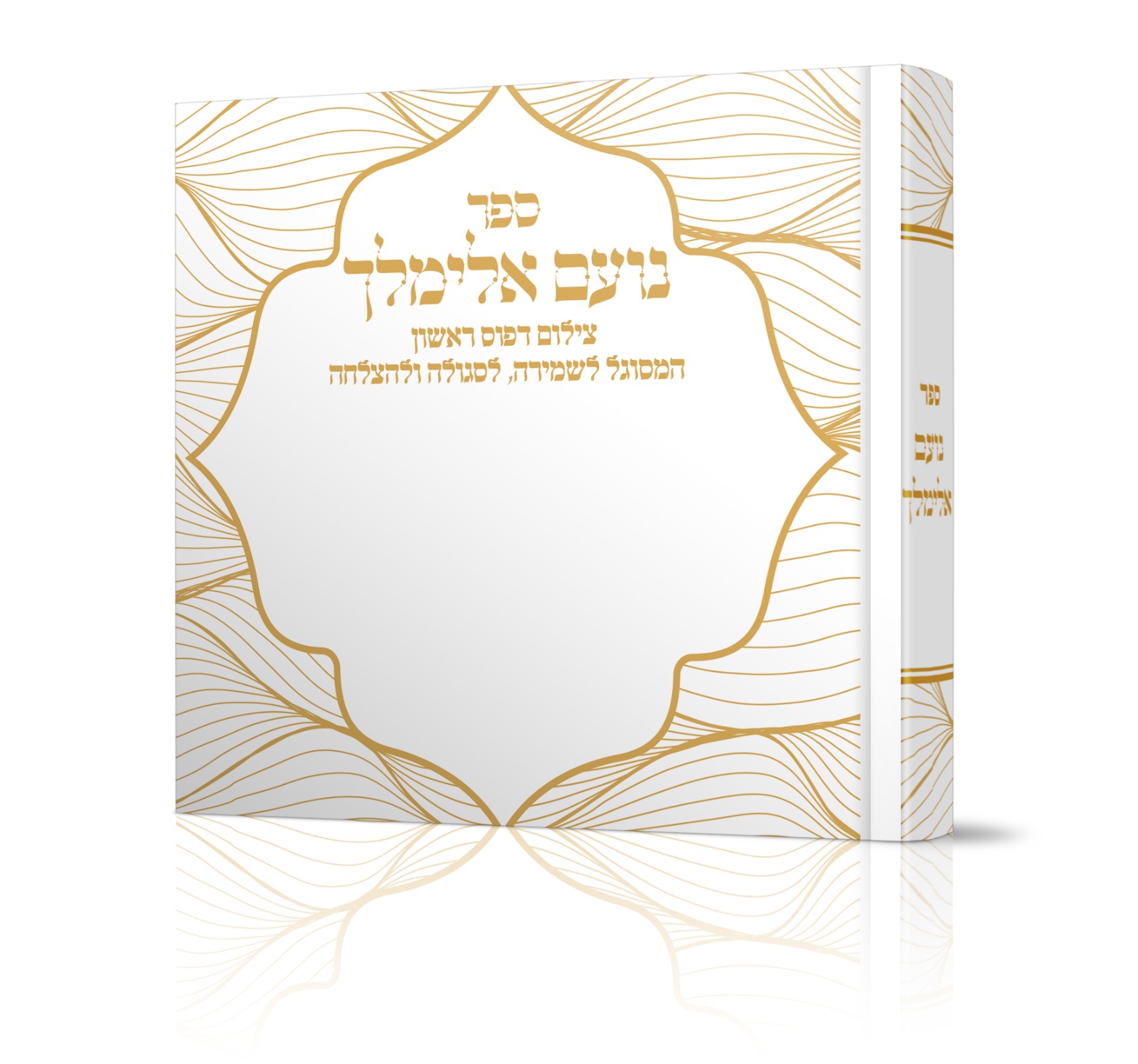 נועם אלימלך לשמירה