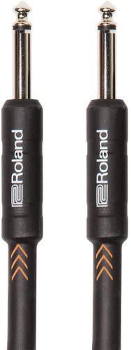 Roland RIC-B20  