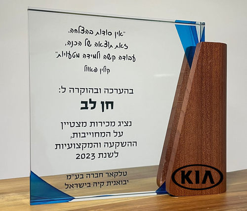 מגן הוקרה WING