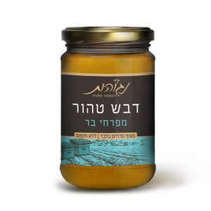 דבש נגוהות 500 גרם מפרחי בר