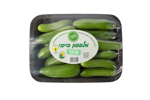 מלפפון בייבי אורגני