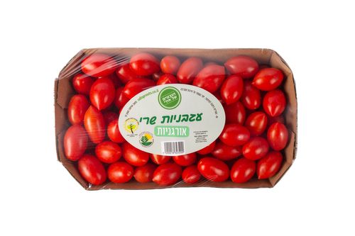 עגבניות הנבטים של אודי שרי אורגני