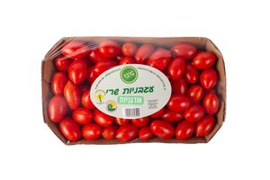 עגבניות הנבטים של אודי שרי אורגני