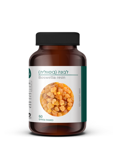 לבונה בוסווליה | 60 כמוסות