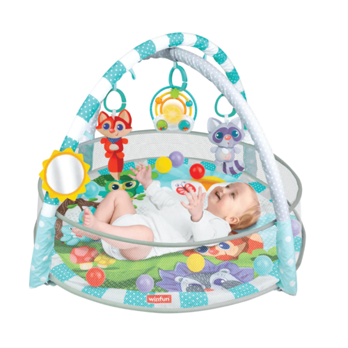 אוניברסיטה ומשטח פעילות מגודר winfun
