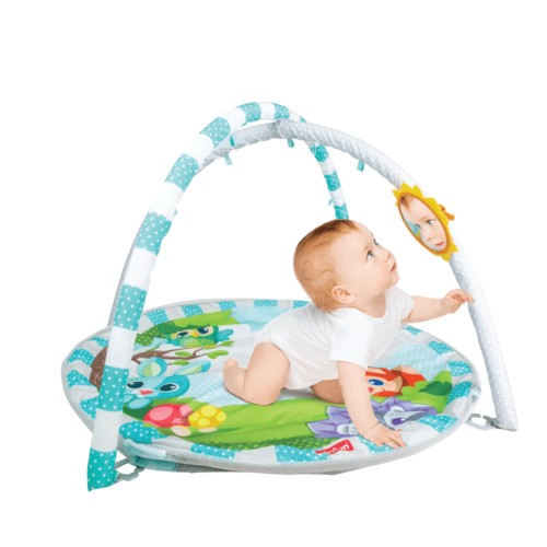 אוניברסיטה ומשטח פעילות מגודר winfun