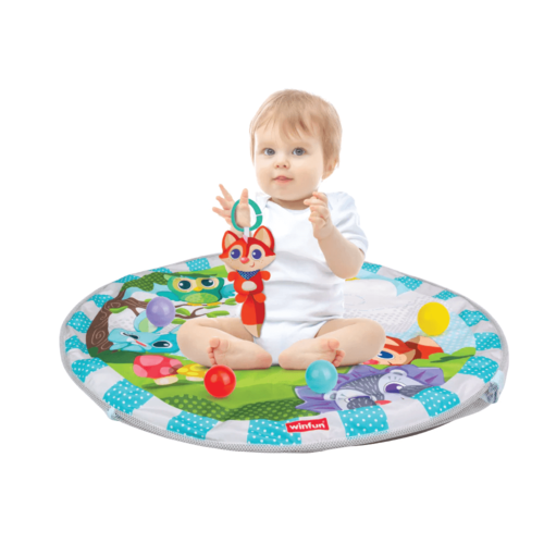 אוניברסיטה ומשטח פעילות מגודר winfun