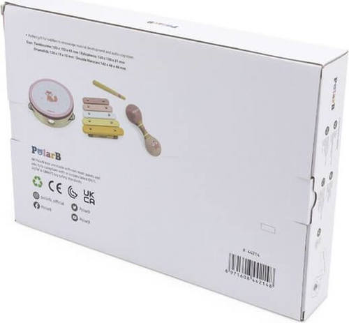 סט כלי נגינה פוקסי השועל POLAR B