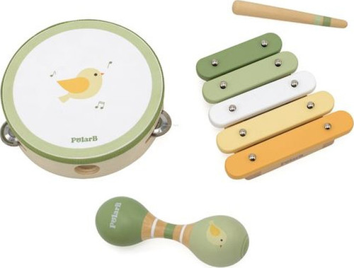 סט כלי נגינה בירדי הציפור POLAR B