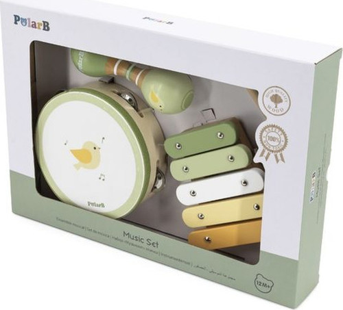 סט כלי נגינה בירדי הציפור POLAR B