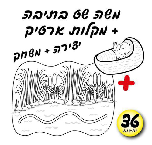 36 יצירה משה בתיבה +מקלות ארטיק /אפונה
