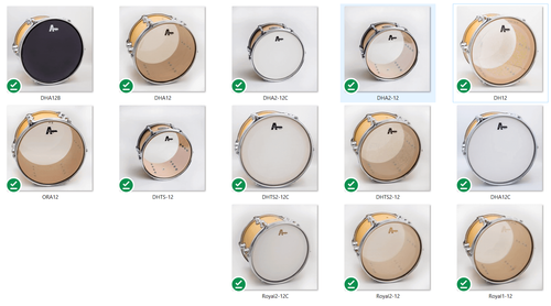 עור לבס (פנימי) 