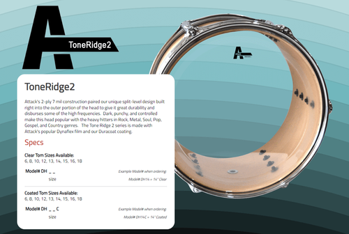 עור לבס (פנימי) 