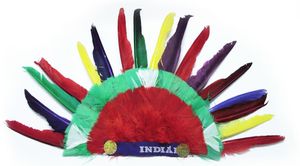 אביזר תחפושת - נוצות ראש אינדיאניות