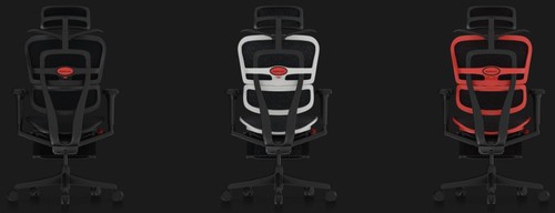 כיסא גיימינג אורגונומי Comfort Ergohuman Ultra Gaming