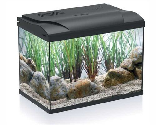 אקווריום קולדי 20 במידות 30*22*39 | HS AQUA AQUARIUM COLDY 20 LED BLACK 39X22X30 CM