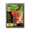 תשתית לזוחלים "יער הגשם" 8.8 ליטר אקזוטרה | RAIN FOREST