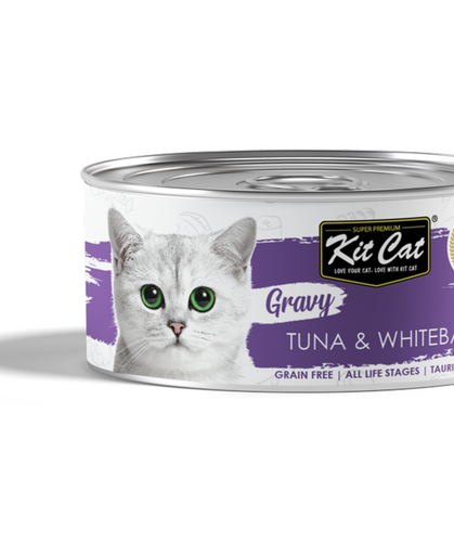 קיט קט טונה ודגיגונים ברוטב | kit cat tuna & whitebait