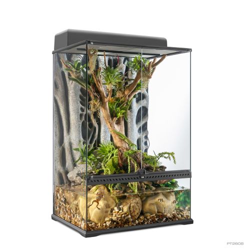 טרריום אקזוטרה במידות 60X45X90 ס