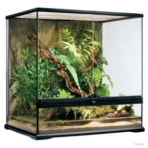 טרריום אקזוטרה במידות 60X45X60 ס