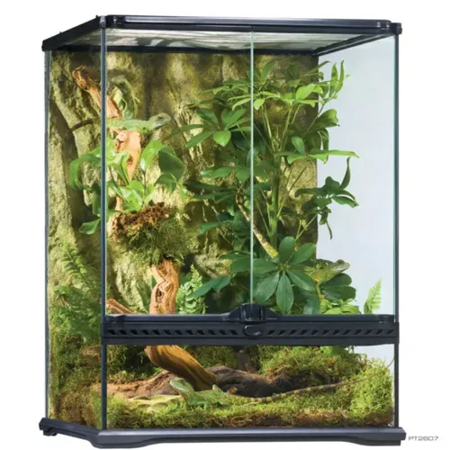 טרריום אקזוטרה במידות 45X45X60 ס