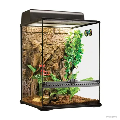 טרריום אקזוטרה במידות 45X45X60 ס