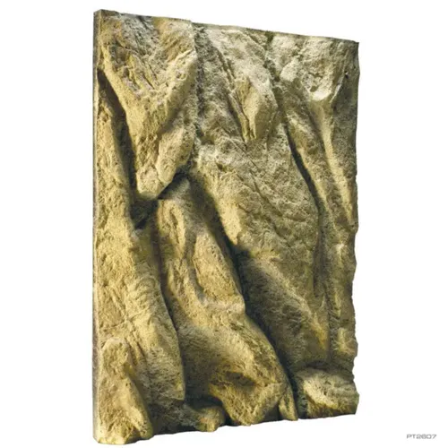 טרריום אקזוטרה במידות 45X45X60 ס