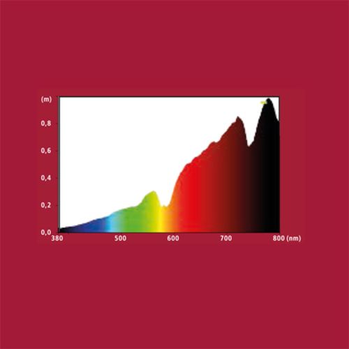 נורה חסכונית אור/ יום חימום 42 וואט UVB, הובי | Sunlight Eco