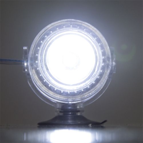 אבן אוויר + תאורת לד אור יום נקודתי | Bubble Air Spot daylight