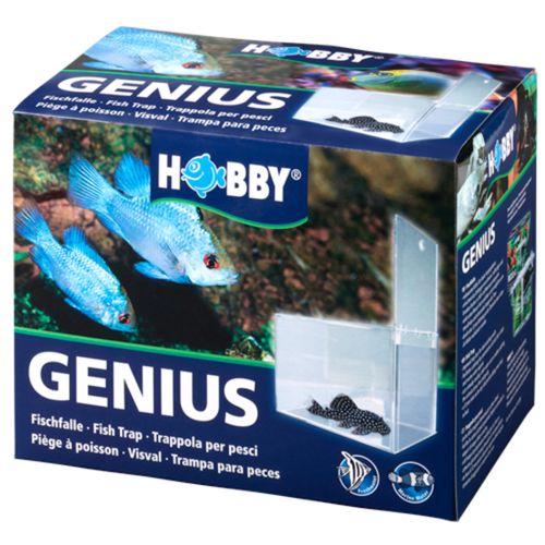 מלכודת אקרילית לדגים | Genius