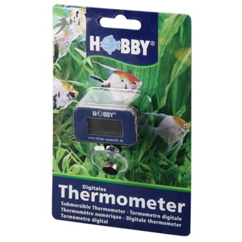 מד חום דיגיטלי עם בטריה עמיד במים | Digital Thermometer
