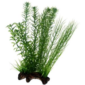 דקורציה צמחיה על קליפת עץ 30 ס"מ | Flora Root 2, L