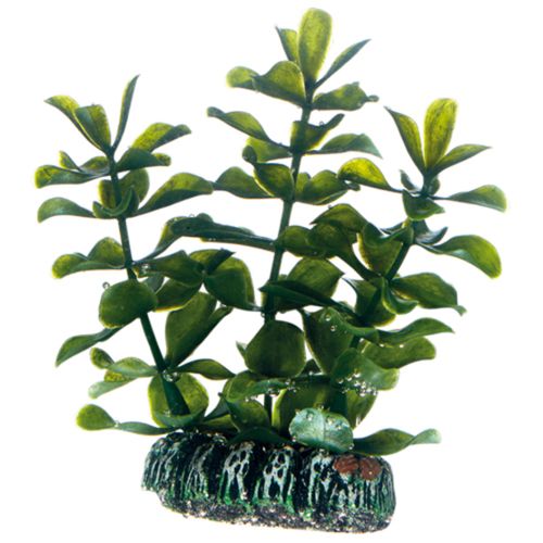 סט 9 צמחי פלסטיק צבעוני פנטזי | Plantasy Set 6