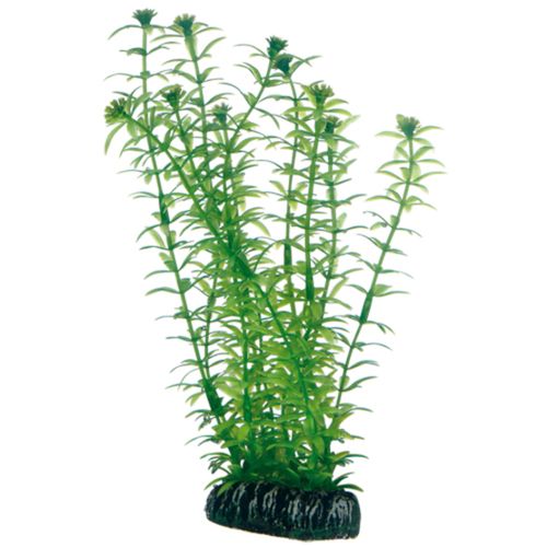 סט 9 צמחי פלסטיק צבעוני פנטזי | Plantasy Set 6