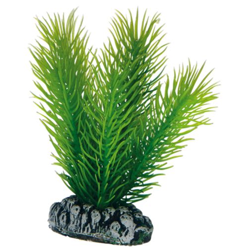 סט 9 צמחי פלסטיק צבעוני פנטזי | Plantasy Set 6