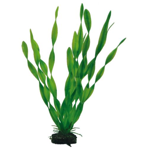 סט 9 צמחי פלסטיק צבעוני פנטזי | Plantasy Set 6