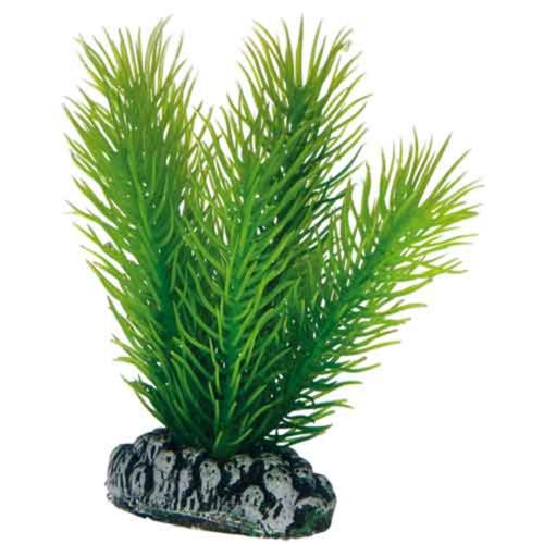 סט 4 צמחי פלסטיק פנטזי 1 | Plantasy Set 4