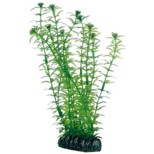 סט 4 צמחי פלסטיק פנטזי 1 | Plantasy Set 4