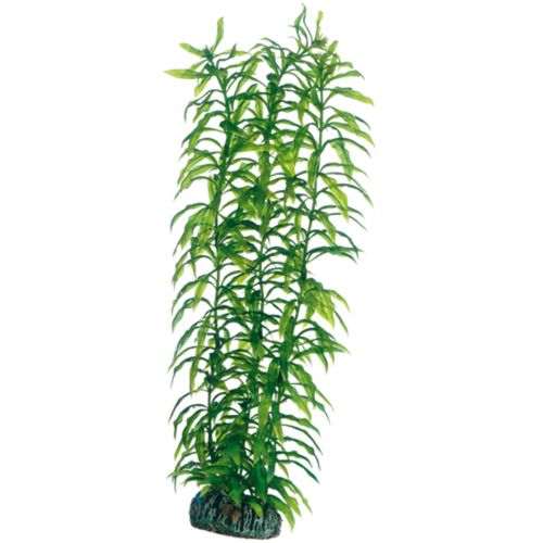סט 4 צמחי פלסטיק פנטזי 1 | Plantasy Set 4