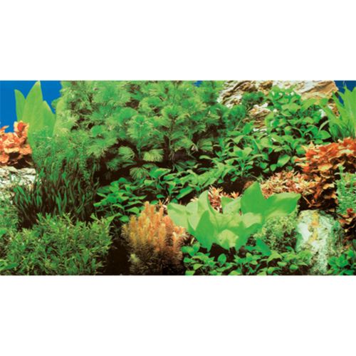 רקע דו צדדי צמחייה/ ים 60X30 ס