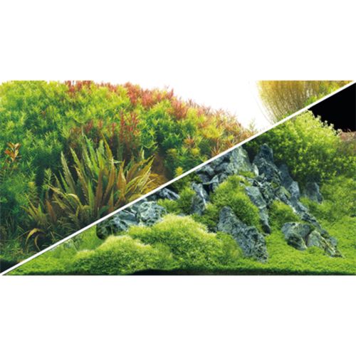 רקע דו צדדי גזעים 60 ס