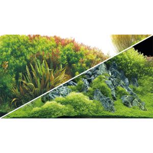 רקע דו צדדי גזעים 60 ס"מ | Planted River/Green Rocks