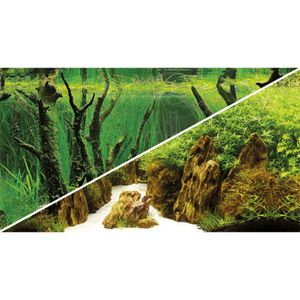 רקע דו צדדי קניון 60 ס"מ | Canyon / Woodland
