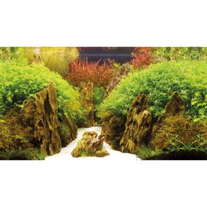 רקע דו צדדי קניון 30 ס"מ | Canyon / Woodland