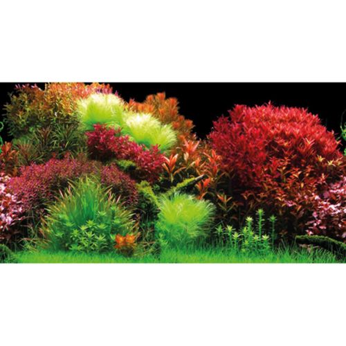 רקע מדבקה צמחייה/ אוקיינוס במידות 120X50 ס