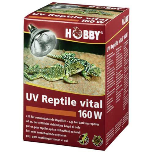נורת חימום UVAB ותאורה 160W, הובי
