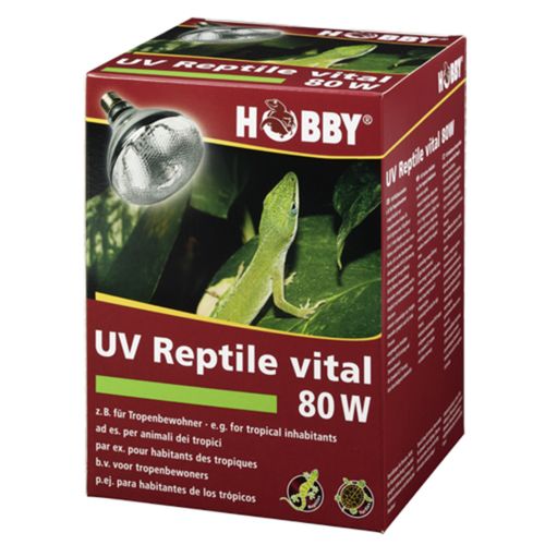 נורת חימום UVAB ותאורה 80W